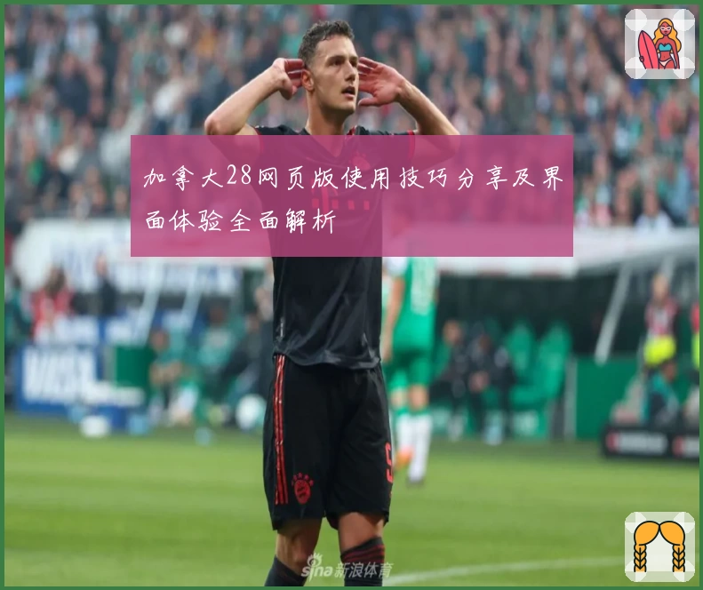 加拿大28网页版使用技巧分享及界面体验全面解析