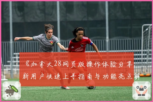 《加拿大28网页版操作体验分享：新用户快速上手指南与功能亮点解析》