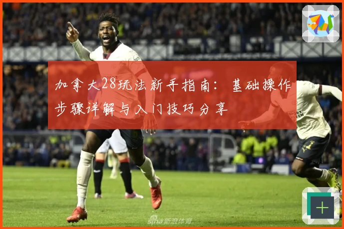 加拿大28玩法新手指南：基础操作步骤详解与入门技巧分享