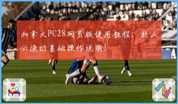 加拿大PC28网页版使用教程：新人必读的基础操作说明！