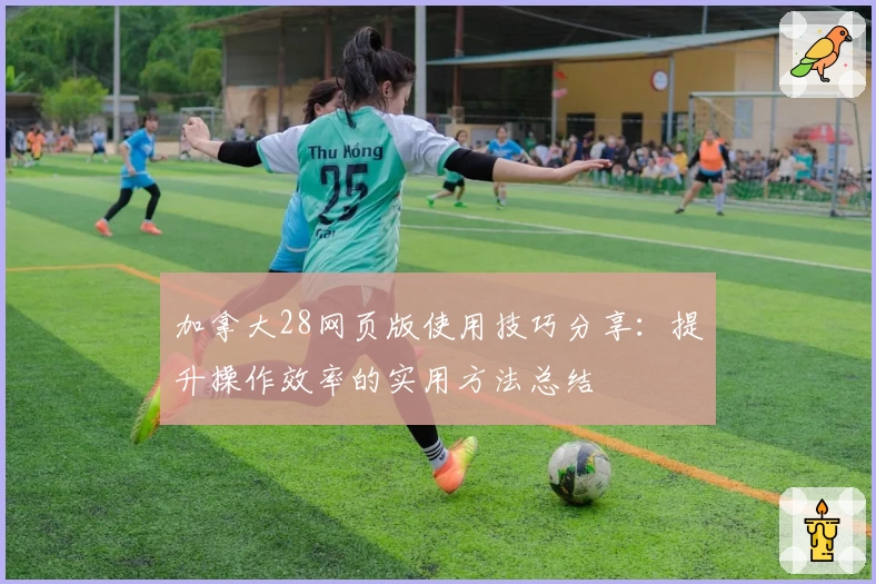 加拿大28网页版使用技巧分享:提升操作效率的实用方法总结