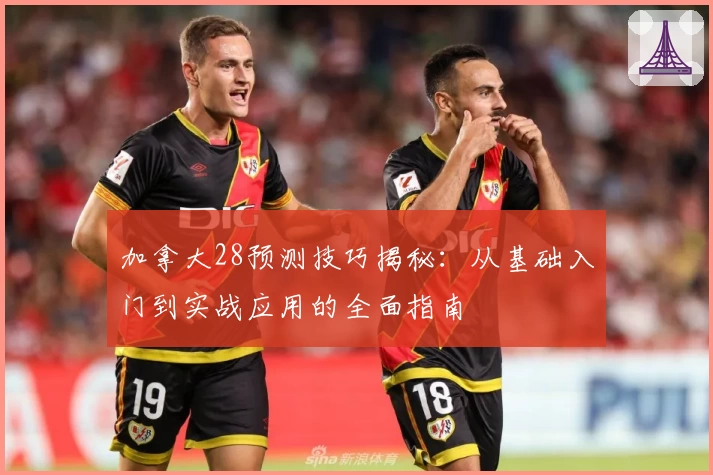 加拿大28预测技巧揭秘：从基础入门到实战应用的全面指南