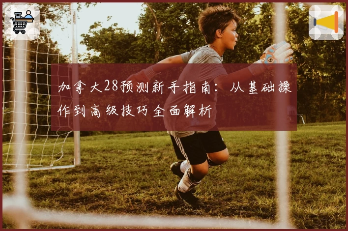 加拿大28预测新手指南:从基础操作到高级技巧全面解析