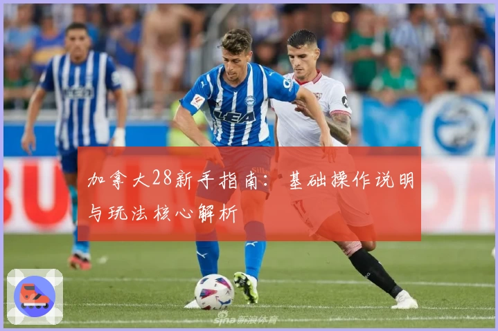 加拿大28新手指南：基础操作说明与玩法核心解析