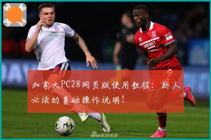 加拿大PC28网页版使用教程：新人必读的基础操作说明！