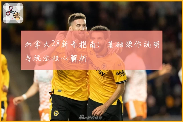 加拿大28新手指南：基础操作说明与玩法核心解析