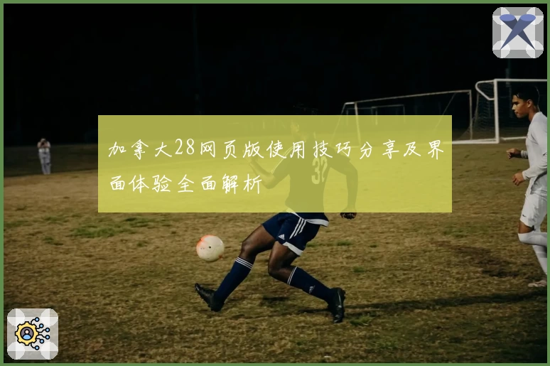 加拿大28网页版使用技巧分享及界面体验全面解析