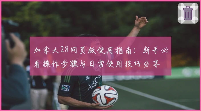 加拿大28网页版使用指南：新手必看操作步骤与日常使用技巧分享