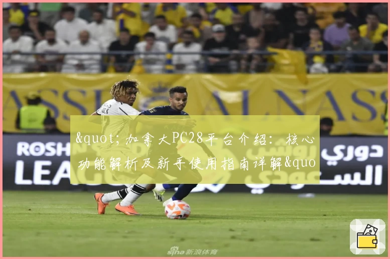 "加拿大PC28平台介绍：核心功能解析及新手使用指南详解"