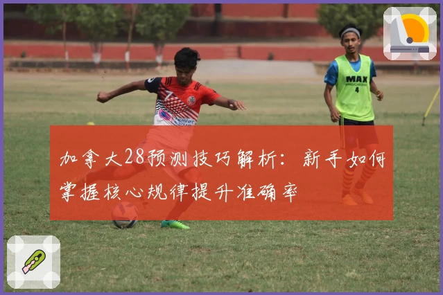 加拿大28预测技巧解析：新手如何掌握核心规律提升准确率